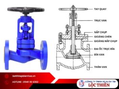 Cấu tạo van cầu gang