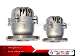 Rọ bơm mặt bích inox