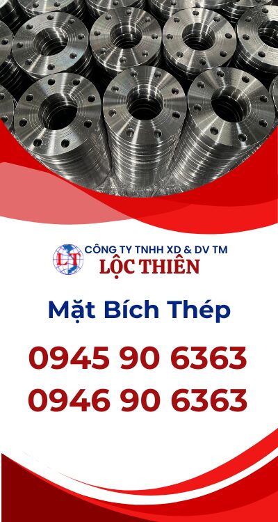 Mặt Bích Thép